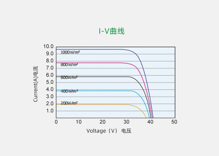 60cell_back_xiaotiao03